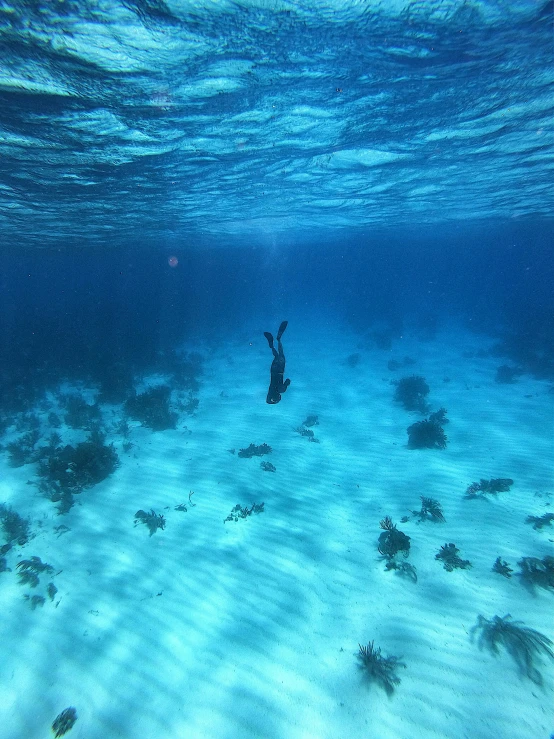 a person swimming in a body of water, standing under the sea