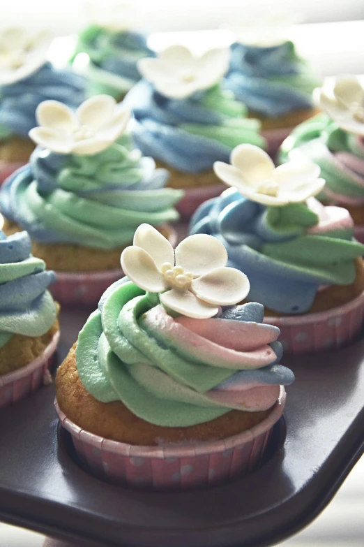 a close up of a tray of cupcakes with frosting, a colorized photo, inspired by Christen Købke, soft rainbow, magnolia, blue and green, blooming flowers