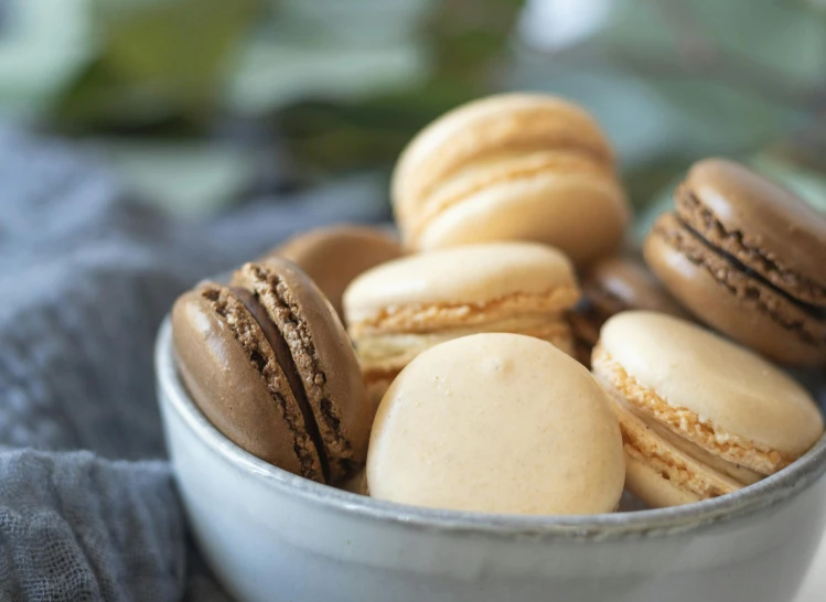 a bowl filled with macarons sitting on top of a table, a portrait, by Sylvia Wishart, unsplash, brown and cream color scheme, cookies, detailed product image, middle close up shot