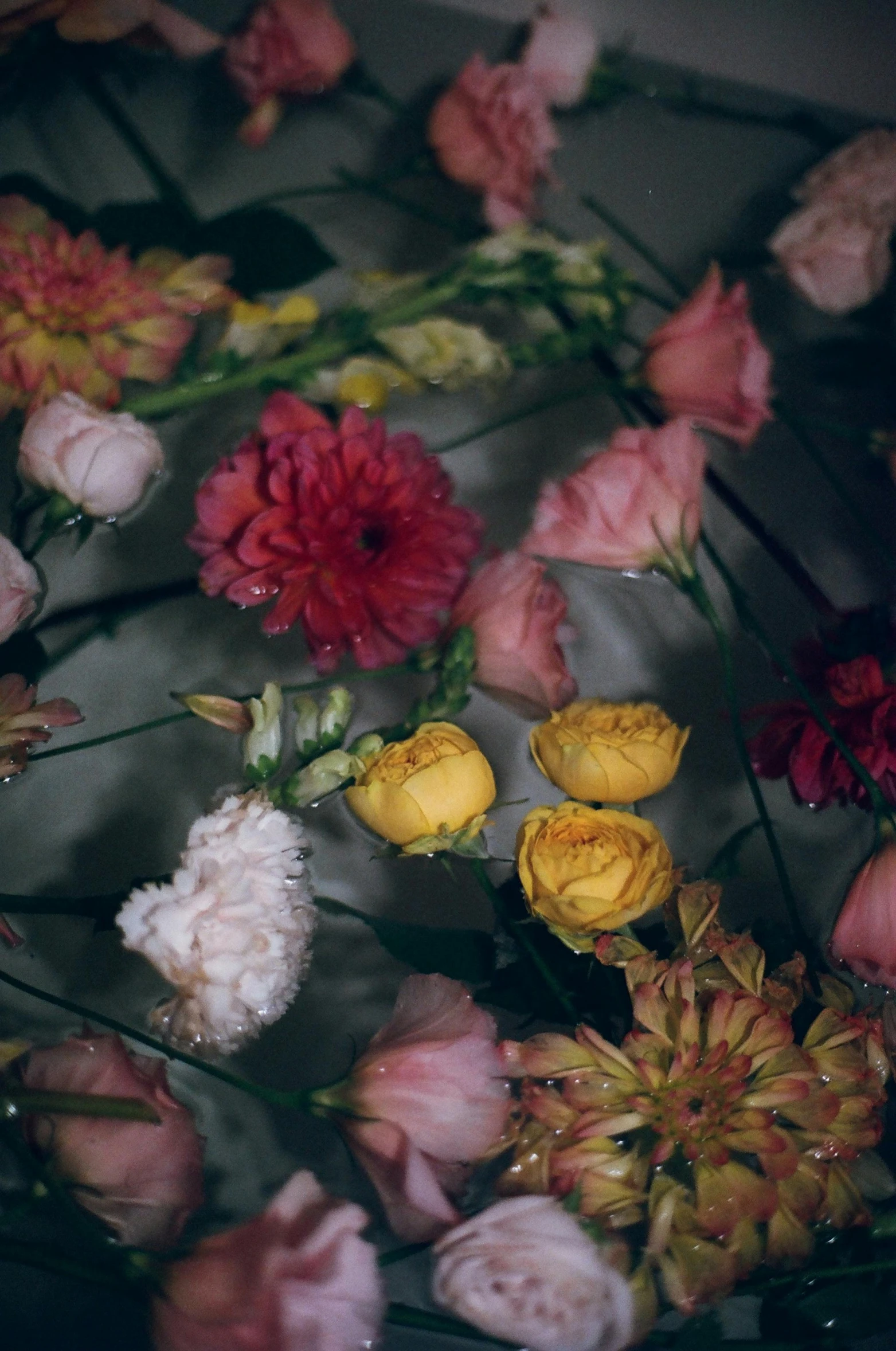 a bunch of flowers sitting on top of a table, an album cover, inspired by Elsa Bleda, romanticism, detail shot, floating in water, dark and muted colors, multicolored