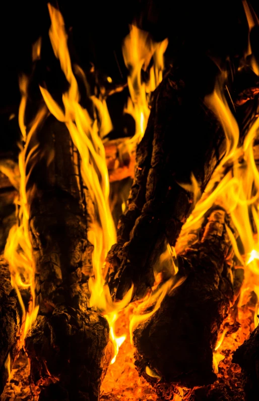 a close up of a fire in a fireplace, by Matt Cavotta, pexels, multiple stories, burning man, burning trees, slide show
