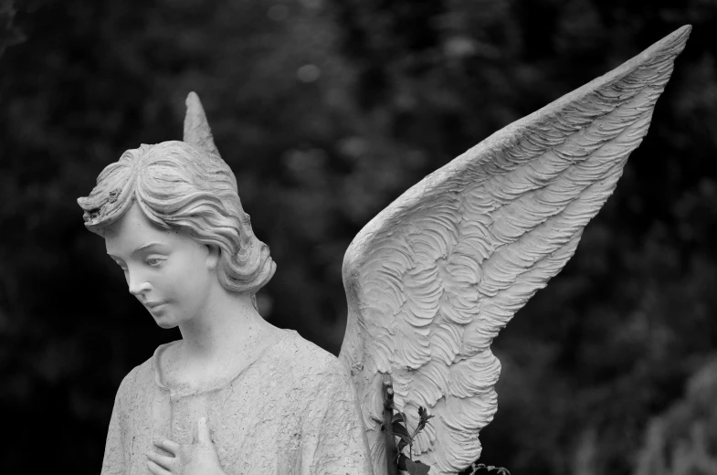 a black and white photo of a statue of an angel, pexels, biblically acurate angel, pointed ears, delightful surroundings, fine art photograph