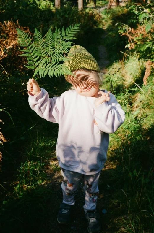 a little boy that is standing in the grass, inspired by Andy Goldsworthy, unsplash, tree ferns, beanie, girls, lumi