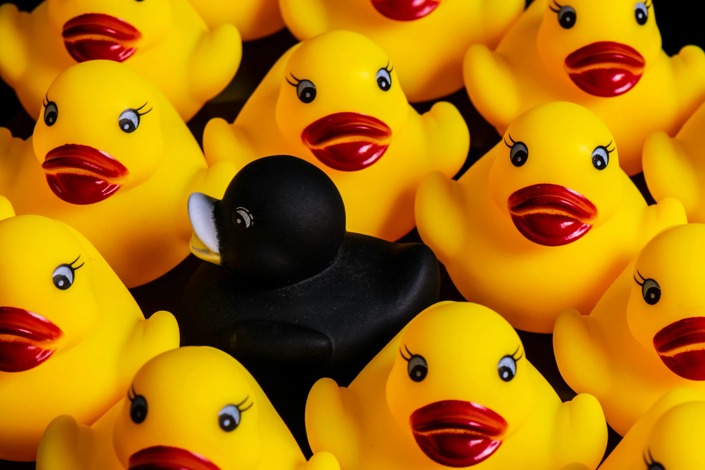 a group of rubber ducks sitting next to each other, by Jacob Duck, trending on pexels, black, lipstick, demna gvasalia, profile image