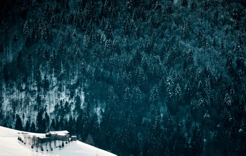 a group of people riding skis down a snow covered slope, a matte painting, inspired by Peter Zumthor, pexels contest winner, teal aesthetic, solitary cottage in the woods, thumbnail, shot on hasselblad