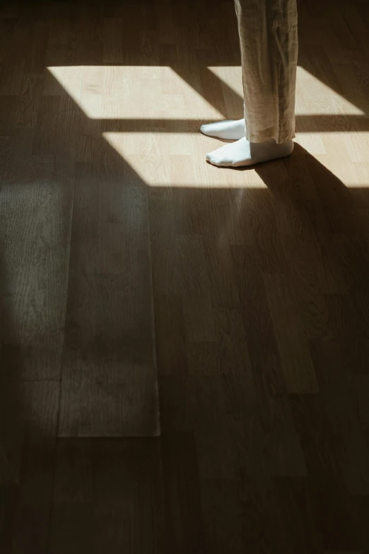 a person standing on a hard wood floor, inspired by Elsa Bleda, pexels contest winner, light and space, raytracing shadows, ignant, floor texture, isolate translucent