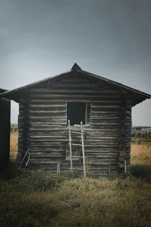 a couple of wooden shacks sitting on top of a grass covered field, ladder, in an old west cabin, square, trending photo