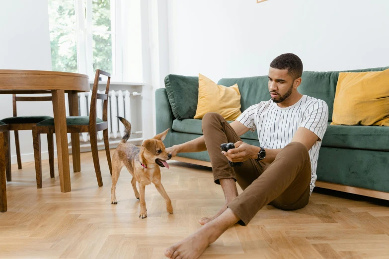 a man sitting on the floor playing with a dog, a cartoon, pexels contest winner, breed russian brown toy terrier, sitting across the room, wearing only pants, connectivity