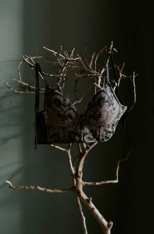 a close up of a bra on a tree branch, a still life, inspired by Méret Oppenheim, unsplash, baroque, intricate wirings, 165 cm tall, grey, lifestyle