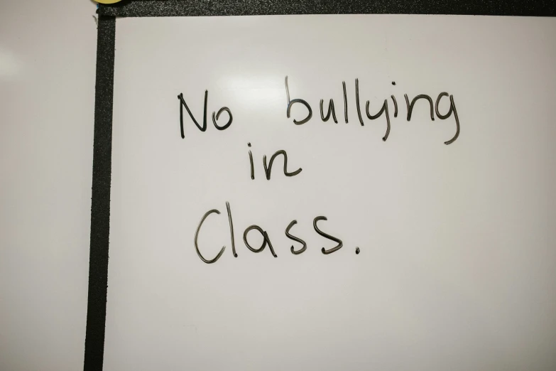 a sign that says no bullying in class, by Arabella Rankin, taken with sony alpha 9, bulli, 4 chan, had