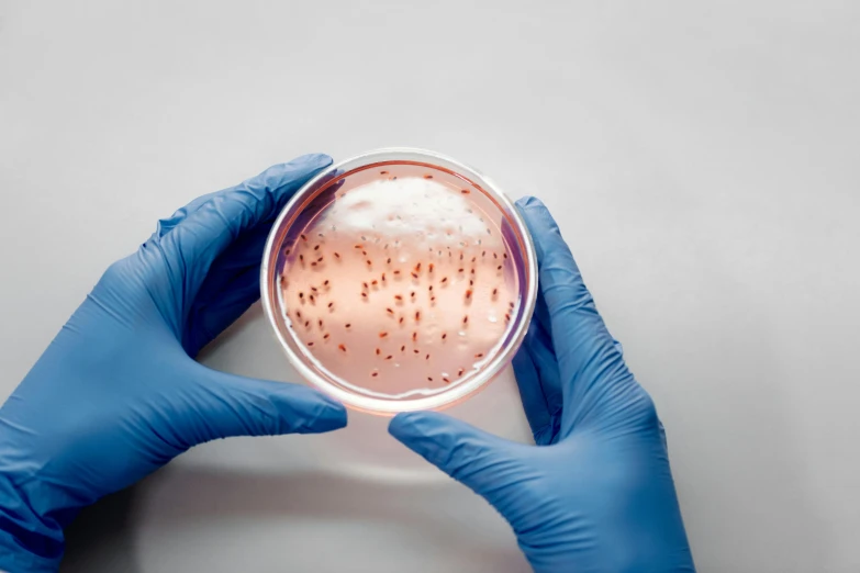 a person in blue gloves holding a petri dish, trending on pexels, pink slime everywhere, insects, yeast, high quality topical render