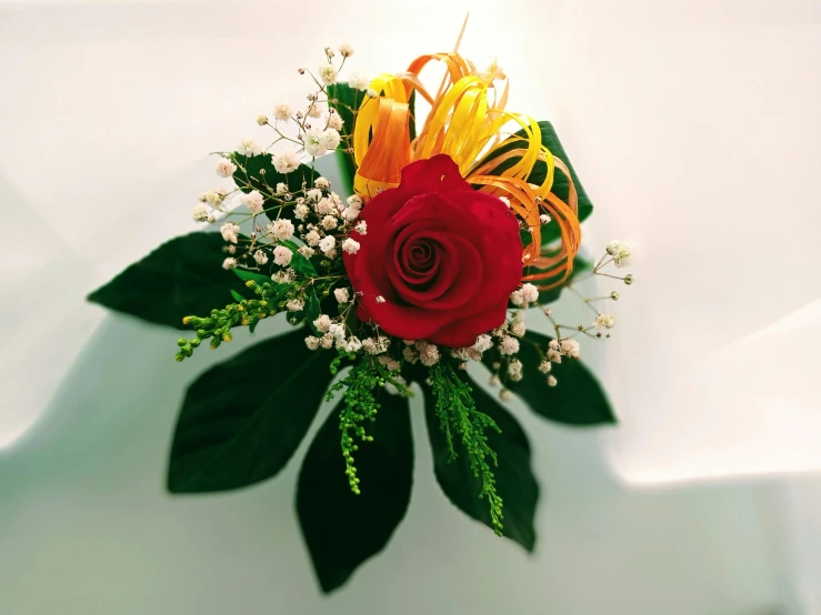 a red rose with green leaves and baby's breath, yellow-orange, wispy, with a white background, formal wear