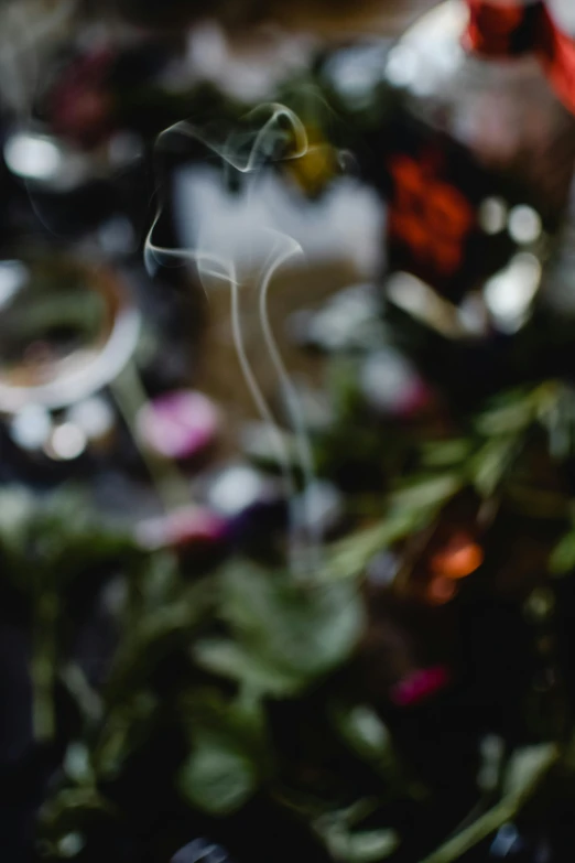 a close up of a plate of food on a table, a still life, trending on unsplash, process art, ghostly smoke, herbs, cocktail in an engraved glass, blurred detail