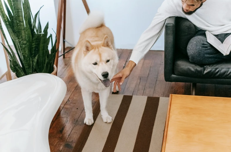 a man sitting on a couch petting a dog, pexels contest winner, sōsaku hanga, siting on a toilet, areas rugs, shibu inu, wooden