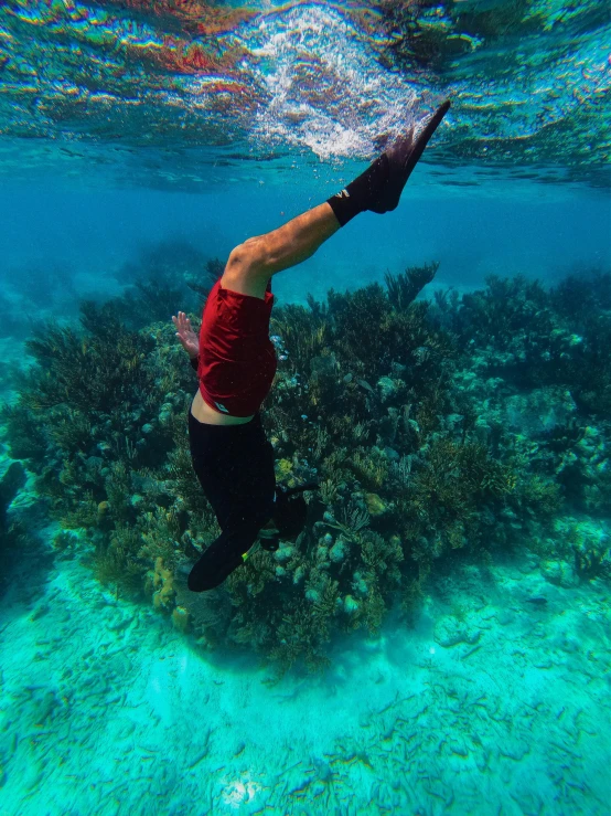 a man doing a handstand in the ocean, pexels contest winner, overgrown with colorful coral, aruba, slide show, no words 4 k