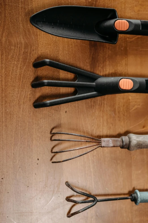 a group of utensils sitting on top of a wooden table, detailed product image, cultivator, elongated arms, up-close