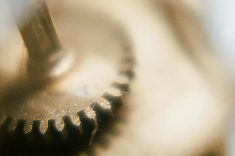 a close up of a metal gear on a table, a macro photograph, by David Simpson, trending on pexels, kinetic art, faded and dusty, golden hour closeup photo, brown, cogwheel