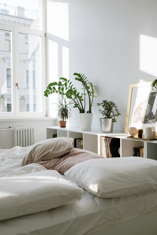 a white bed sitting in a bedroom next to a window, by Maud Naftel, trending on unsplash, visual art, lush plants, bookshelves on sides, angle view, kreuzberg