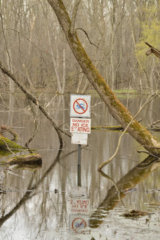 a sign in the middle of a flooded area, a photo, by David Palumbo, environmental art, dangerous swamp, promo image, william penn state forest, 2 5 6 x 2 5 6 pixels