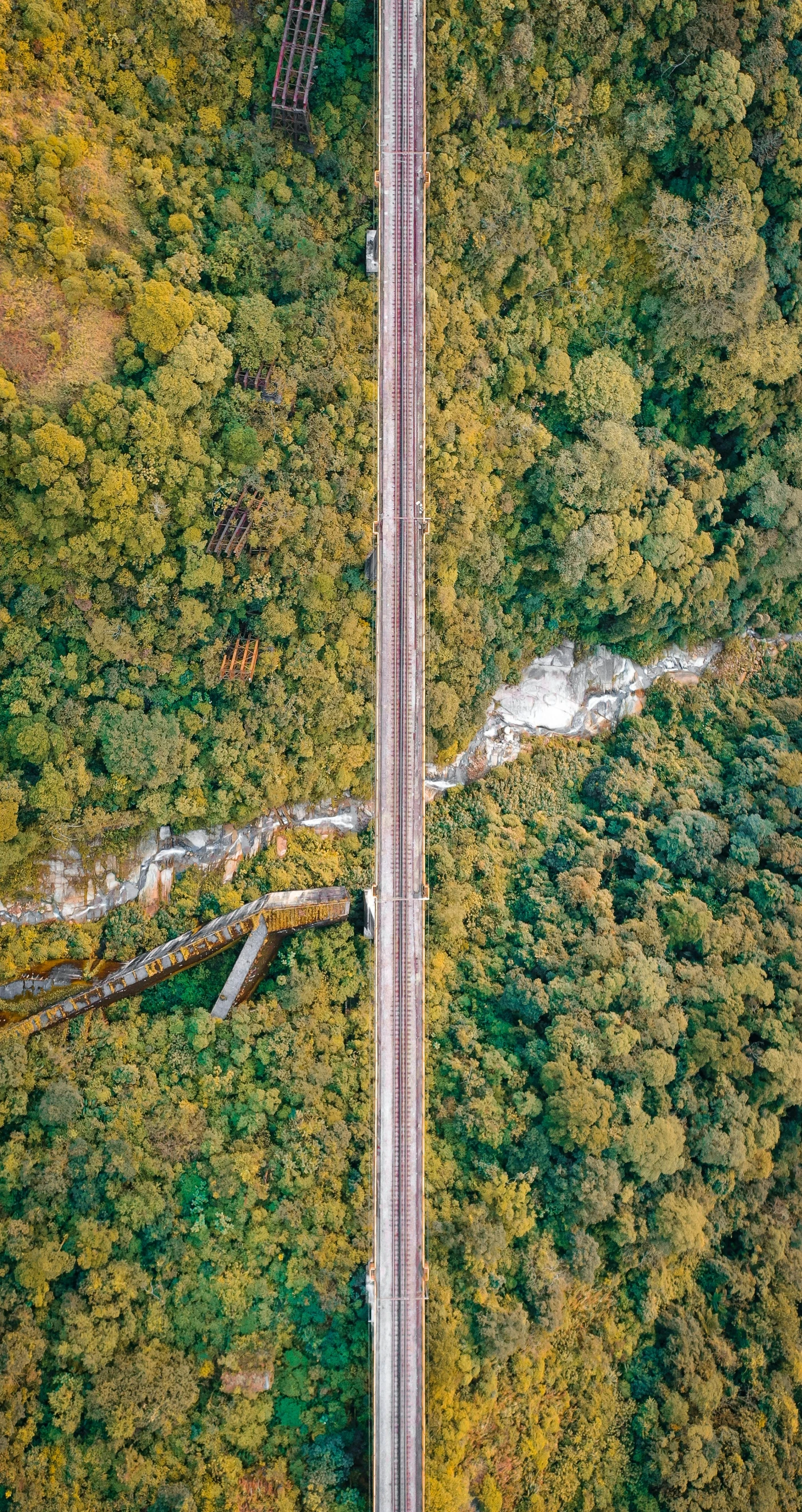 an aerial view of a road in the middle of a forest, by Werner Gutzeit, train far, bridges crossing the gap, full frame image