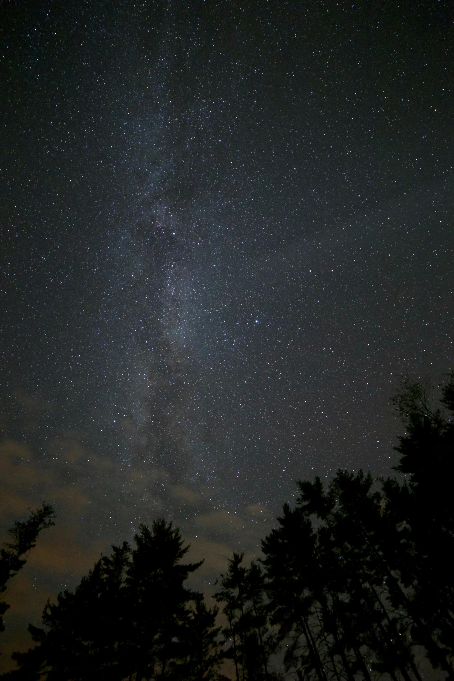 a night sky filled with lots of stars, flickr, william penn state forest, 2 5 6 x 2 5 6 pixels, space ship in the distance, grey