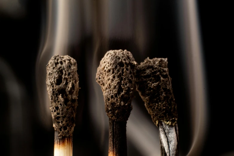 a couple of burnt matches sitting next to each other, by Jesper Knudsen, pexels contest winner, auto-destructive art, torn paper smouldering smoke, 15081959 21121991 01012000 4k, high resolution product photo, small fire