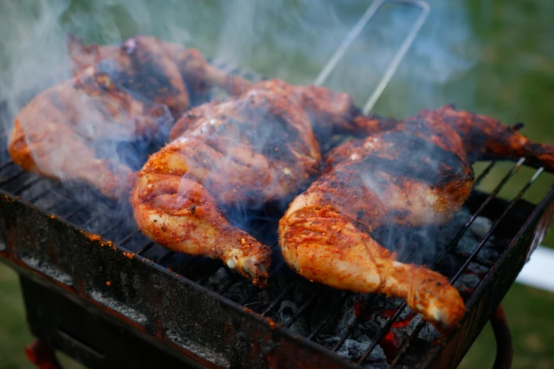 a close up of a grill with meat on it, by Joe Bowler, pexels contest winner, chicken feathers, paisley, thumbnail, music festival