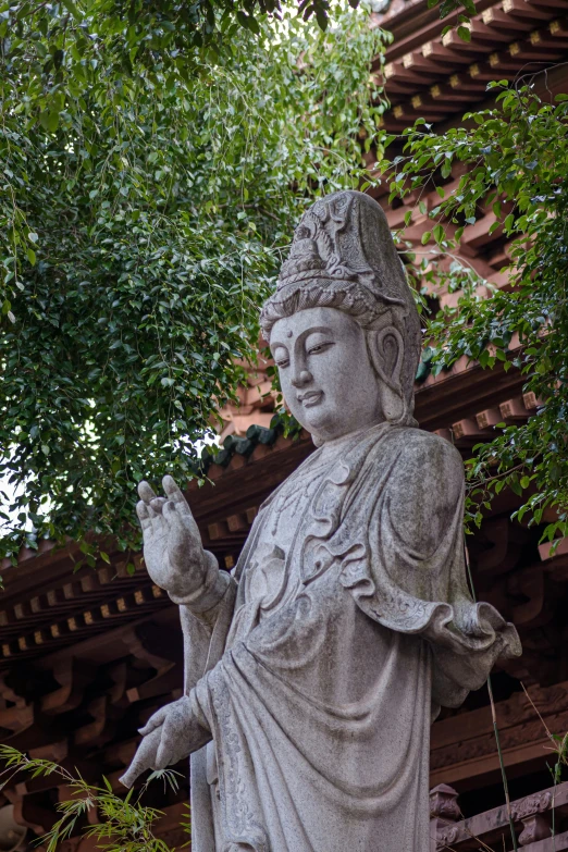 a statue of a buddha in front of a building, xiaoguang sun, lush surroundings, religious robes, brown