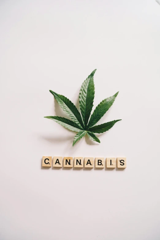 a marijuana leaf with the word cannabis spelled on it, an album cover, inspired by Mary Jane Begin, trending on pexels, renaissance, cubes, minimalist, 🚿🗝📝