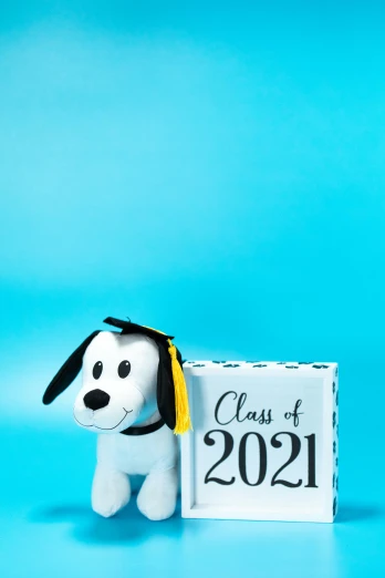 a stuffed dog wearing a graduation cap next to a sign that says class of 2021, a picture, teal studio backdrop, official product photo, m & m plush, medium-shot