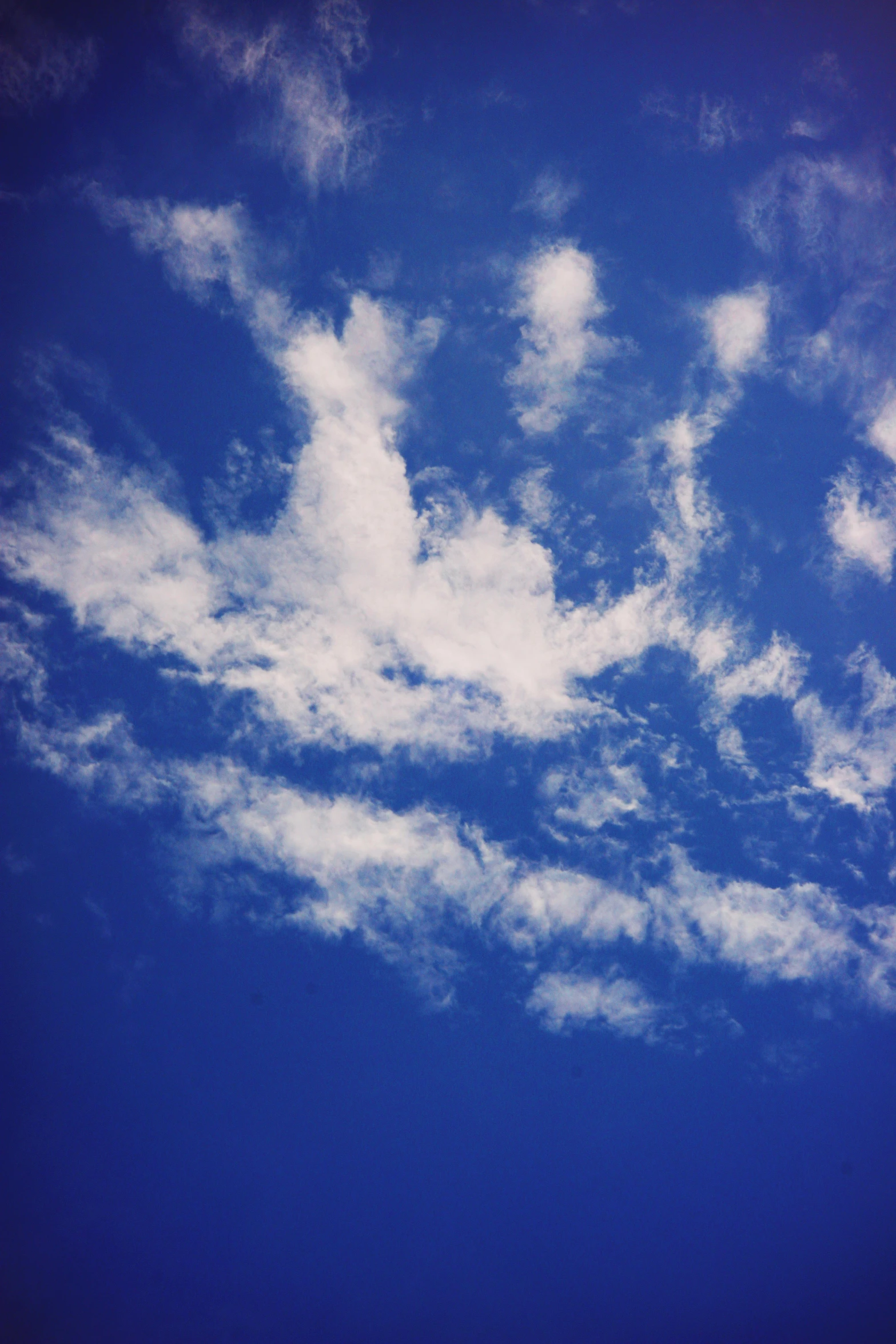 there is a plane that is flying in the sky, an album cover, inspired by Jan Rustem, unsplash, aestheticism, ((blue)), # nofilter, pareidolia, cloud day