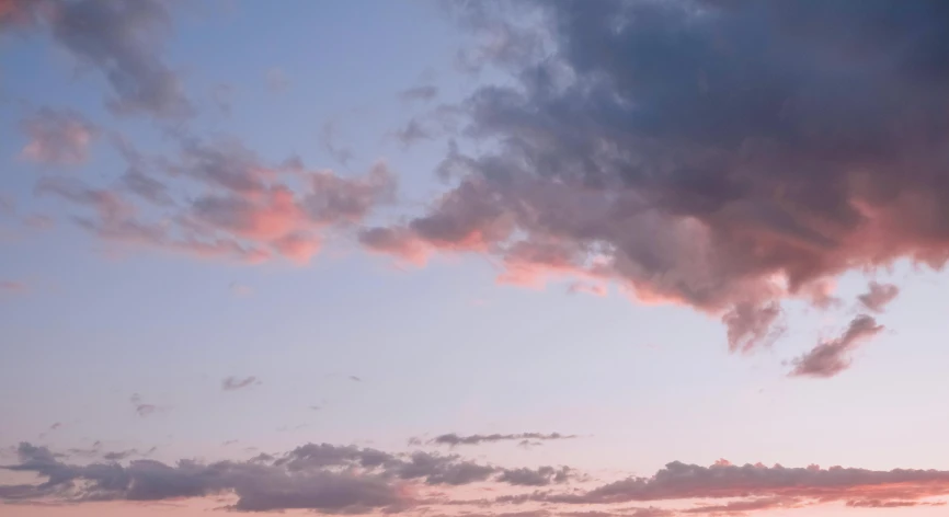 a couple of cows standing on top of a lush green field, trending on unsplash, aestheticism, dramatic pink clouds, dusk sky, layered stratocumulus clouds, blue and pink