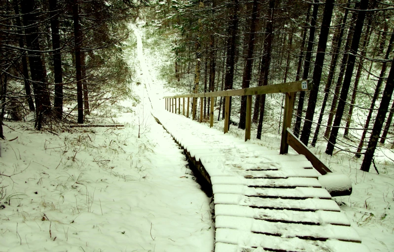 a wooden walkway in the middle of a snowy forest, an album cover, pexels contest winner, long winding stairs going down, thumbnail, low colour, minn