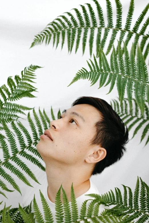 a man looking up at a fern leaf, an album cover, inspired by Ren Hang, trending on pexels, asian face, lean man with light tan skin, pose 4 of 1 6, synthetic bio skin