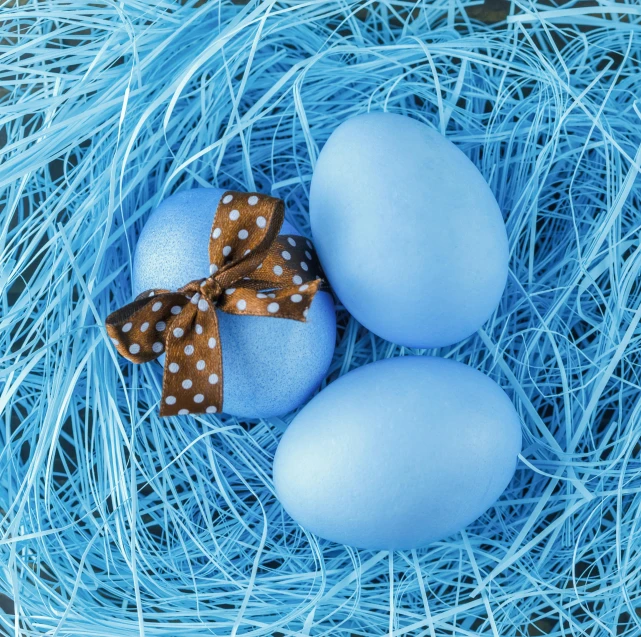 three blue eggs in a nest with a bow, trending on pixabay, square, synthetic materials, candy decorations, brown