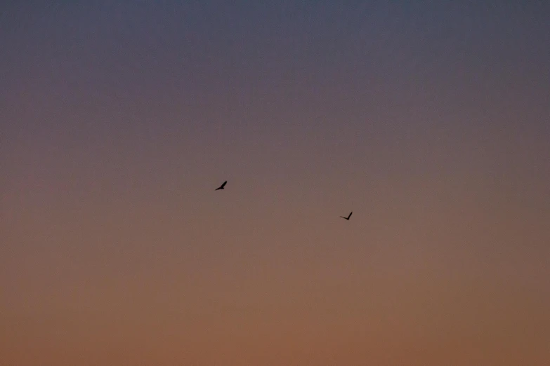 a couple of birds that are flying in the sky, by Attila Meszlenyi, unsplash, minimalism, nightfall, shot on sony a 7, rectangle, ignant