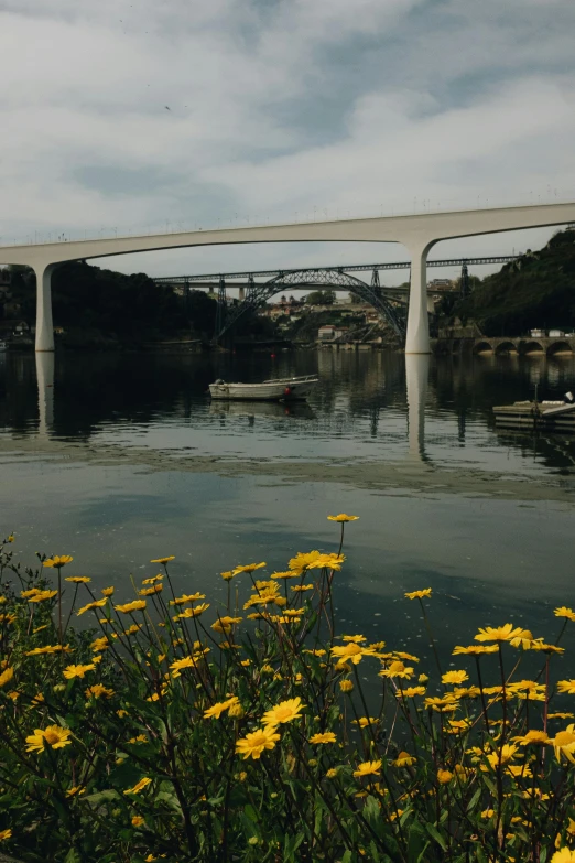 a bridge over a body of water with yellow flowers in the foreground, a digital rendering, unsplash contest winner, vallejo, 3 boat in river, 2022 photograph, grainy quality