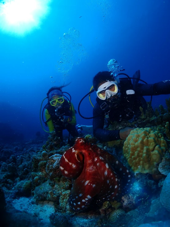 a couple of people that are standing in the water, underwater with coral and fish, super nova octopus, fujifilm”, deep colours. ”