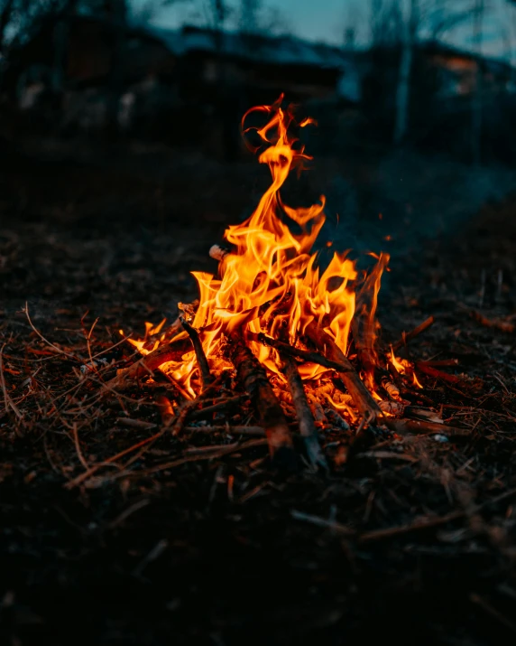 a fire in the middle of a field, pexels contest winner, on a dark background, al fresco, a wooden, rebirth rituals