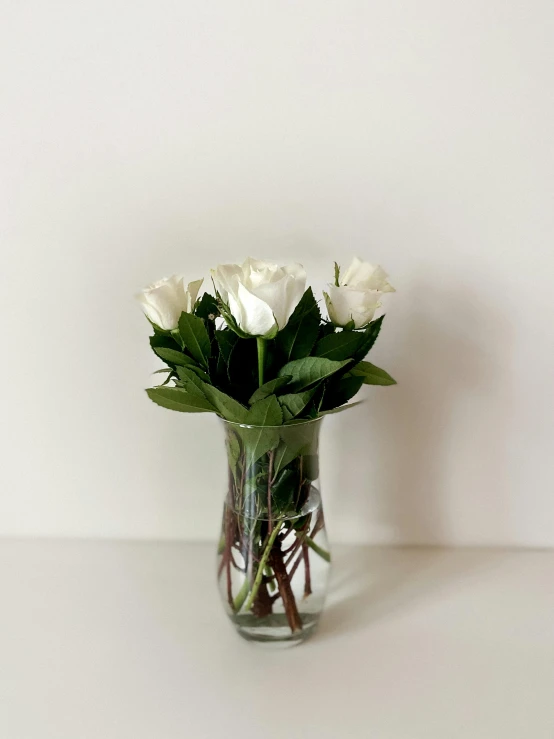 a vase filled with white flowers on top of a table, natural point rose', detailed product image, mix, small glasses