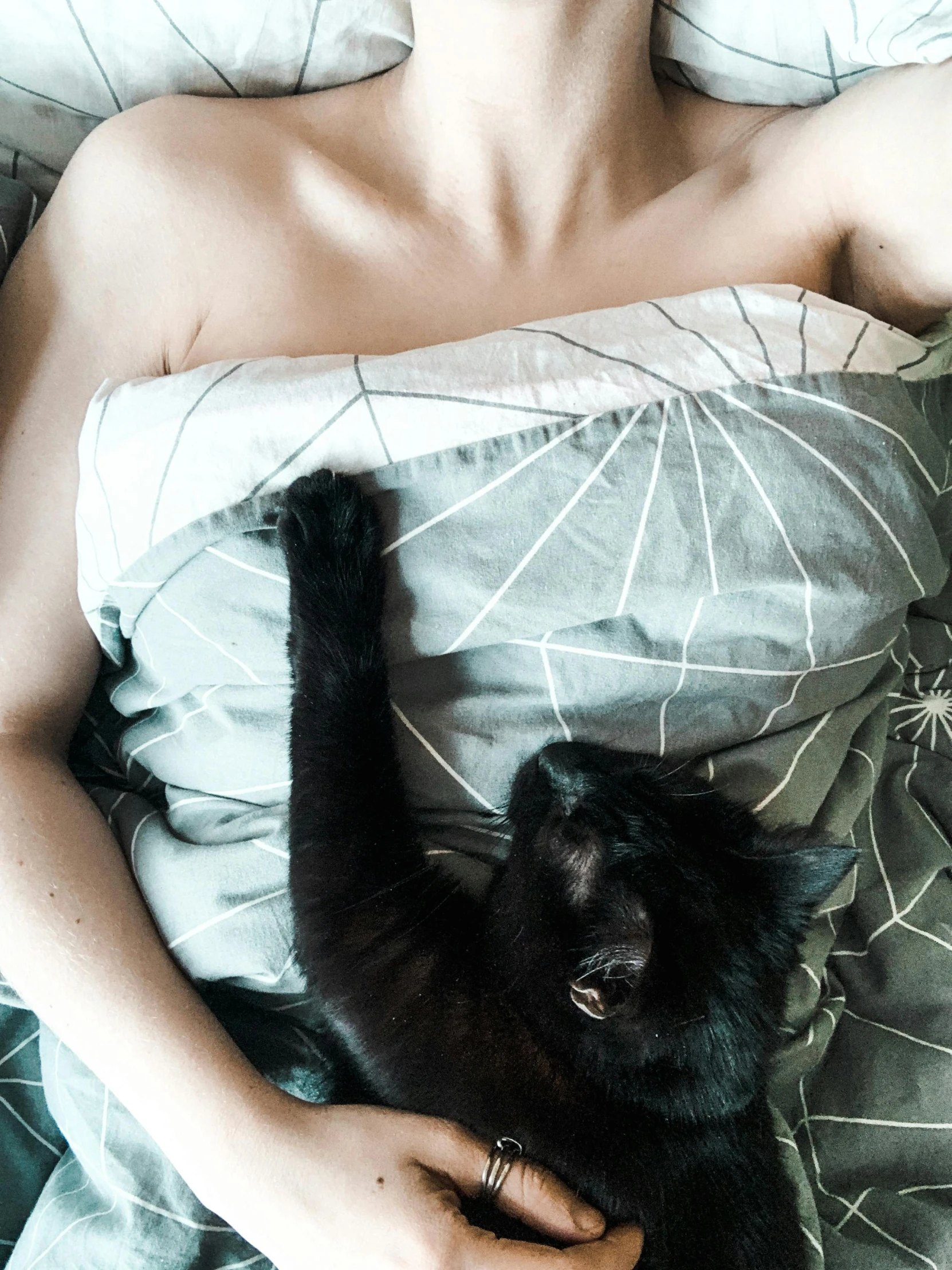 a woman laying in bed with a black cat, trending on unsplash, bare chest, cuddling her gremlings, anastasia ovchinnikova, low quality photo