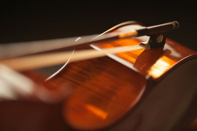 a close up of the back of a violin, unsplash, realism, 15081959 21121991 01012000 4k, thumbnail, warm shading, avatar image