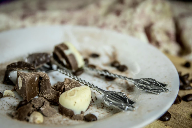 a plate that has some kind of dessert on it, inspired by Pieter Claesz, pexels contest winner, cutlery, crushed, chocolate, close-up photo