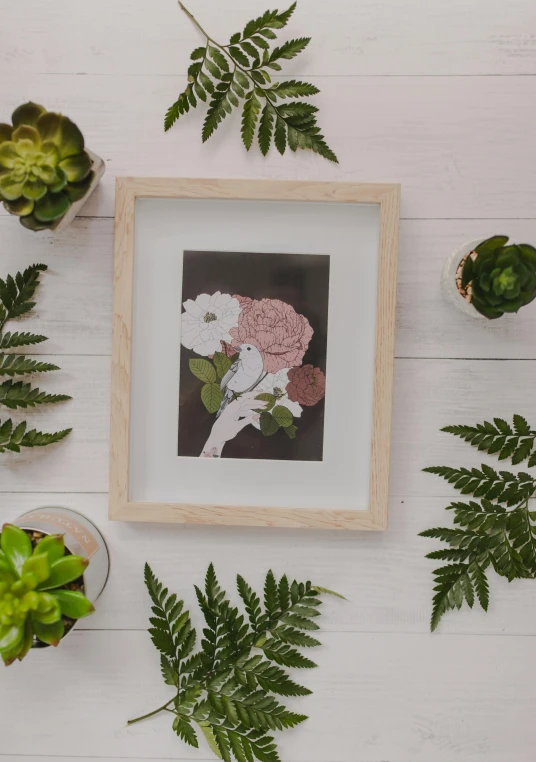 a picture frame sitting on top of a table filled with plants, a picture, inspired by Eden Box, a few roses, shaded ink illustration, on a branch, product image