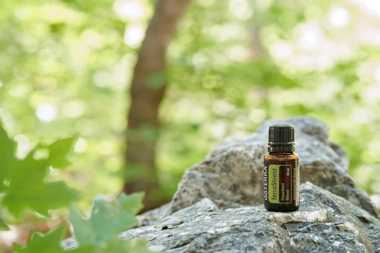 a bottle of essential oil sitting on a rock, endor forest, detailed product image, detail shot, ots shot