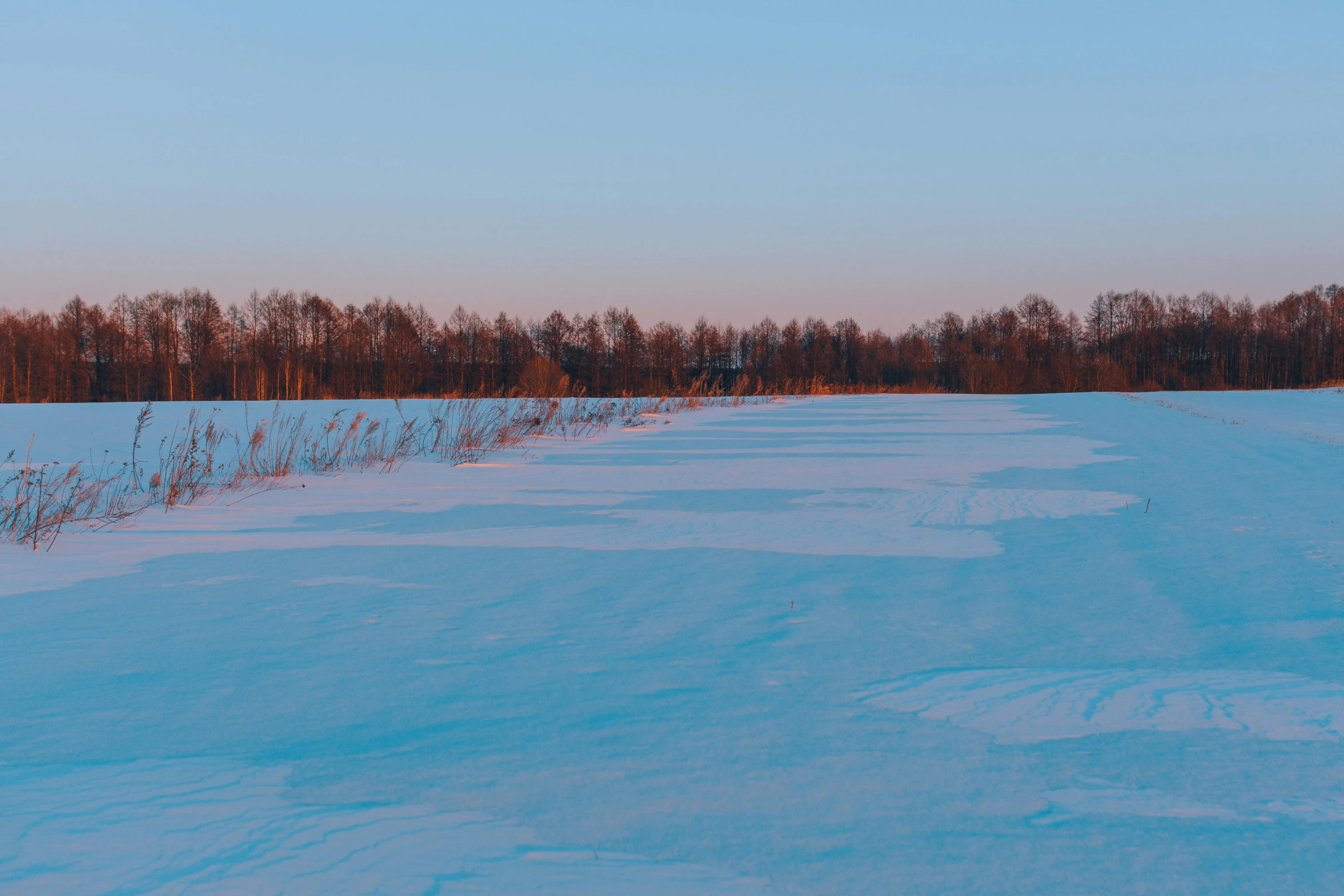 a snow covered field with trees in the distance, inspired by Isaac Levitan, pexels contest winner, land art, low saturated red and blue light, lake blue, golden hour 8 k, plain background