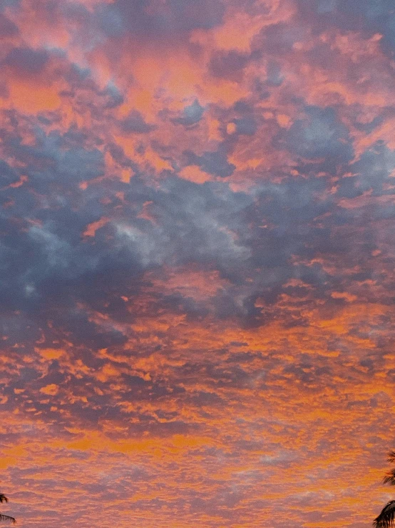 a colorful sunset with palm trees in the foreground, by Carey Morris, pexels contest winner, romanticism, mammatus clouds, sky mural on the room ceiling, today\'s featured photograph 4k, red and orange colored