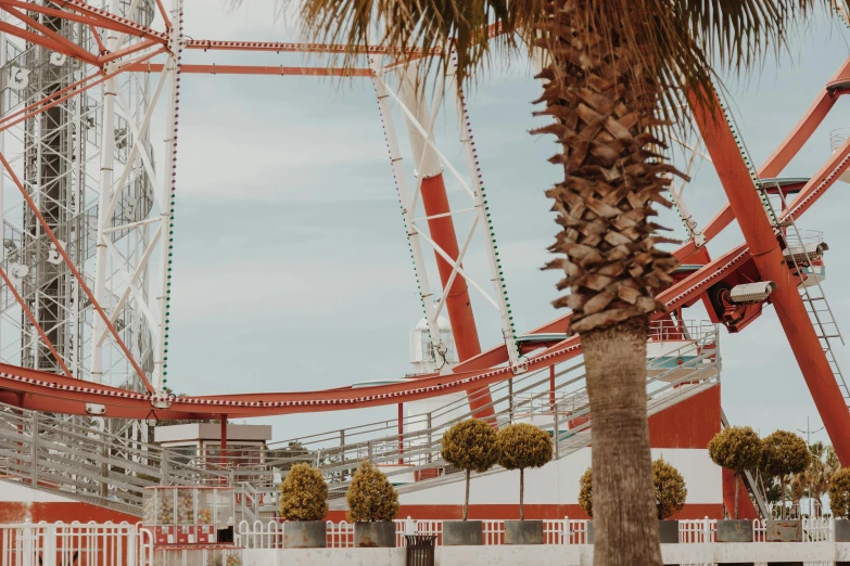 a palm tree in front of a roller coaster, pexels contest winner, red pennants, urban surroundings, profile image, red trusses