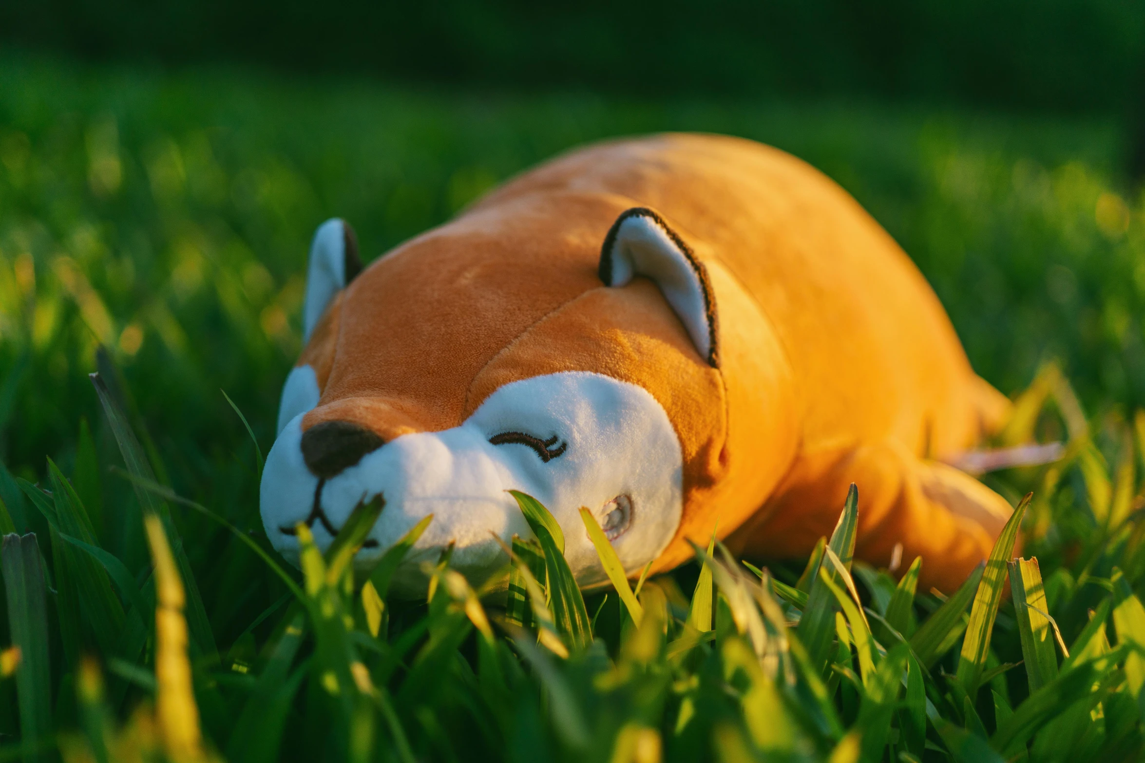 a stuffed animal laying on top of a lush green field, fox nobushi, sundown, full faced, official product photo