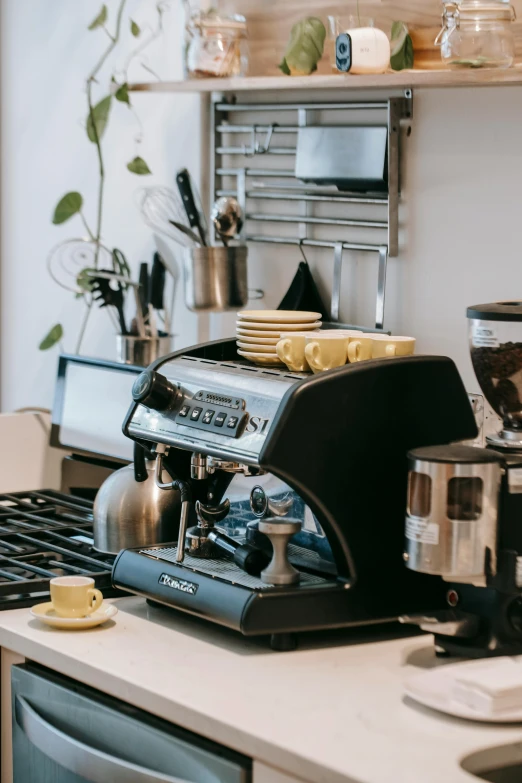 a coffee maker sitting on top of a kitchen counter, by Bernie D’Andrea, pexels contest winner, aussie baristas, fully decorated, profile image, bay area